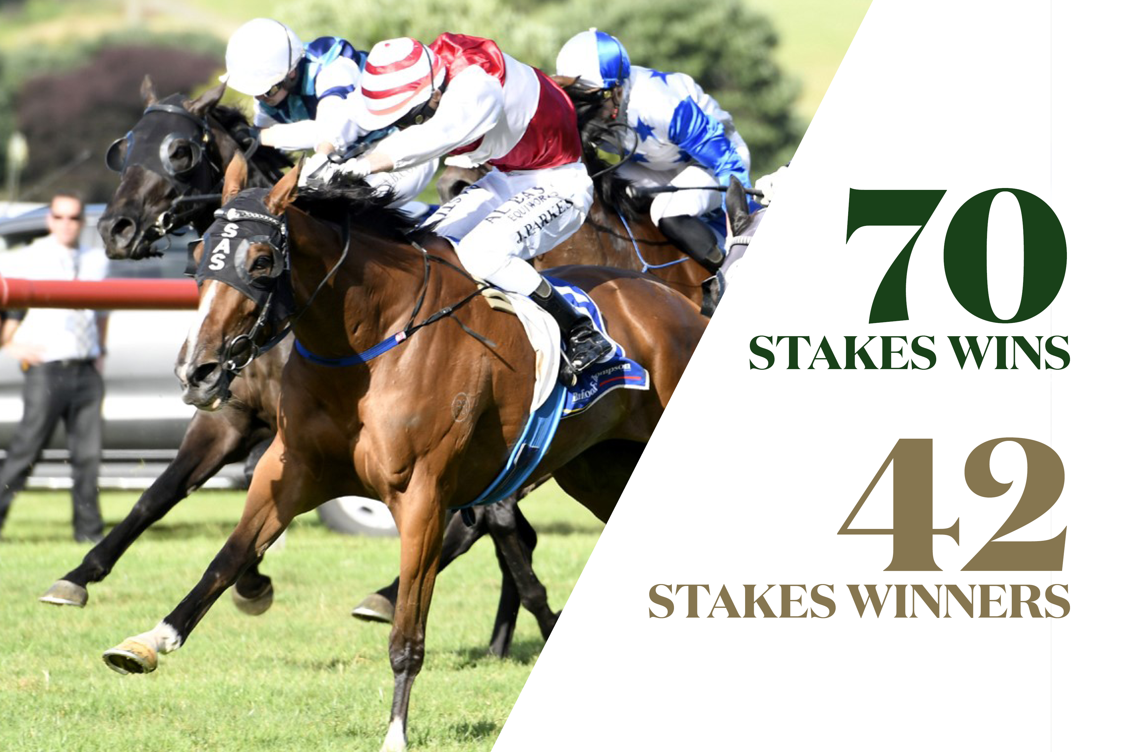 43 graduates of the Sale have claimed 71 stakes wins in the last five seasons. 